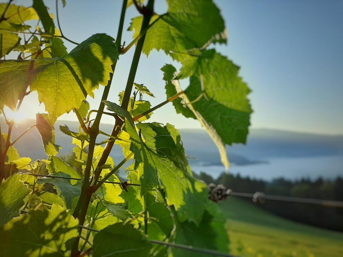 Auszeit Am Weinhof Loschental Exterior foto