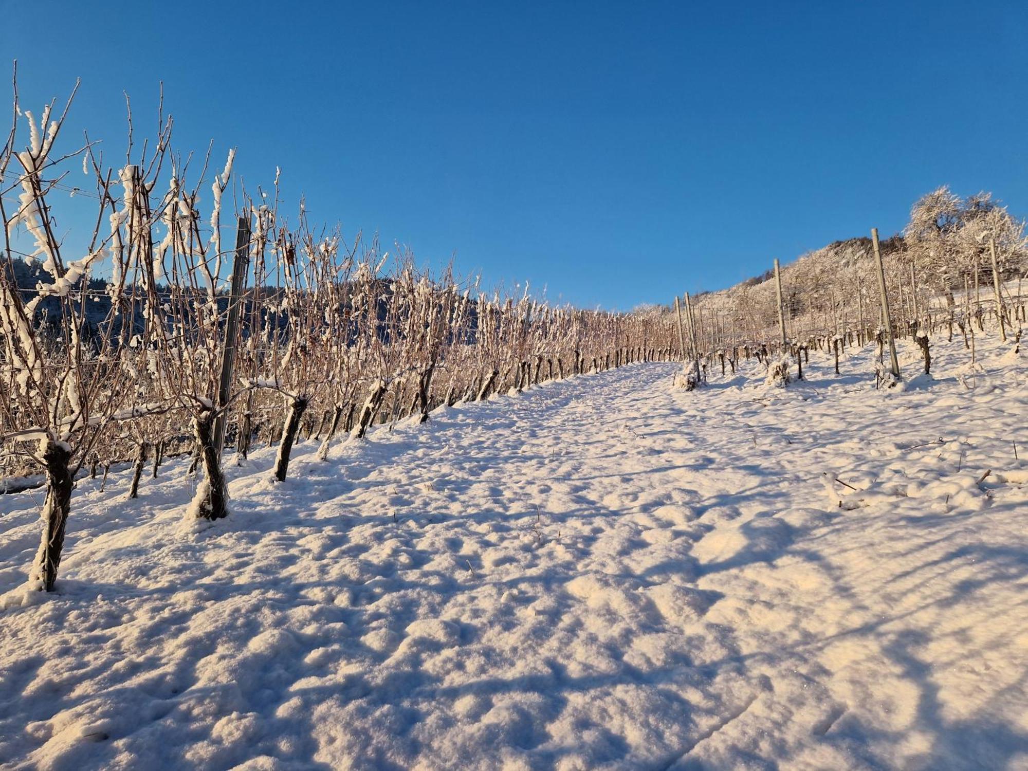 Auszeit Am Weinhof Loschental Exterior foto